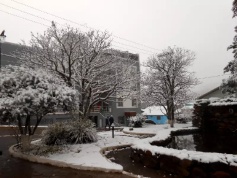 Onda de frio intenso: massa polar atinge RS com chance de neve no fim de semana
