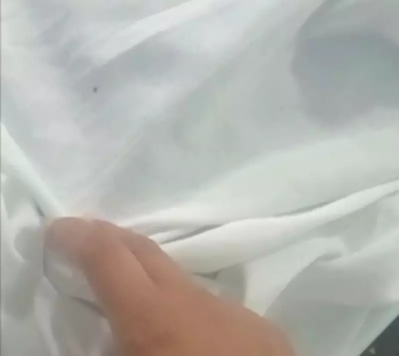 Paciente denuncia carrapatos em lençóis de maternidade em Boa Vista