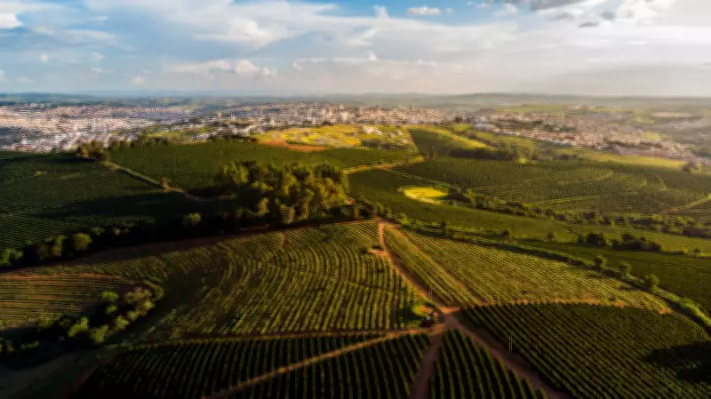 Paisagem Cultural Cafeeira de MG busca reconhecimento oficial