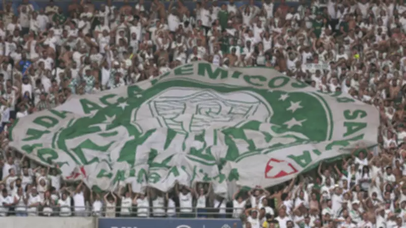 Palmeiras e Santos são denunciados ao STJD após clássico no Brasileirão