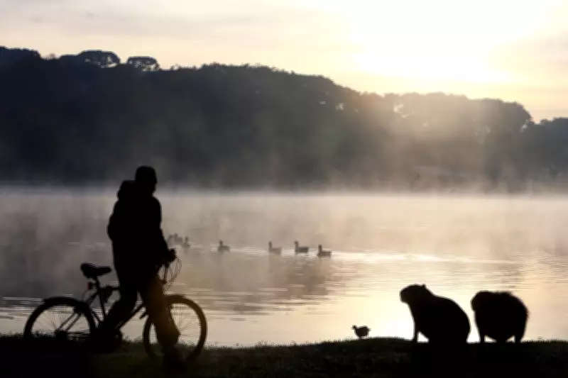 Paraná registra primeira geada de 2026 e previsão de 0°C em maio