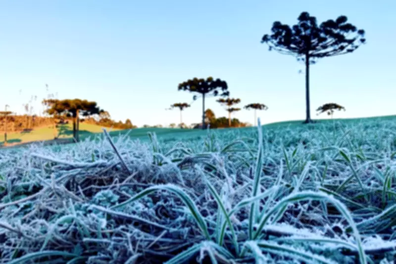 Paraná sob alerta de geadas e tempestades no fim de semana do Dia das Mães