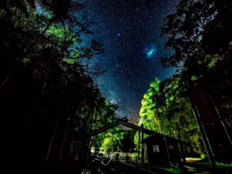 Parque Carlos Botelho: ecoturismo e preservação no interior de SP