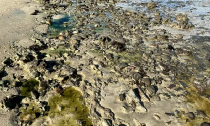 PF investiga poluição química na Praia de São Tomé de Paripe, em Salvador