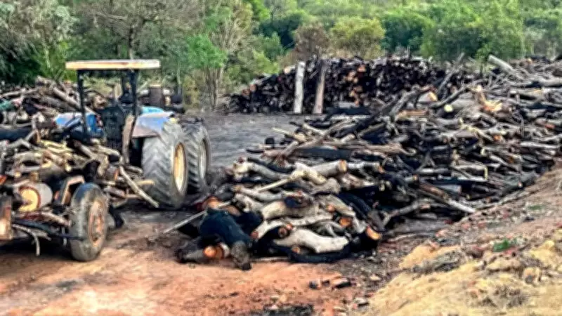 Piauí tem 22 pessoas sob proteção por ameaças de conflitos de terra