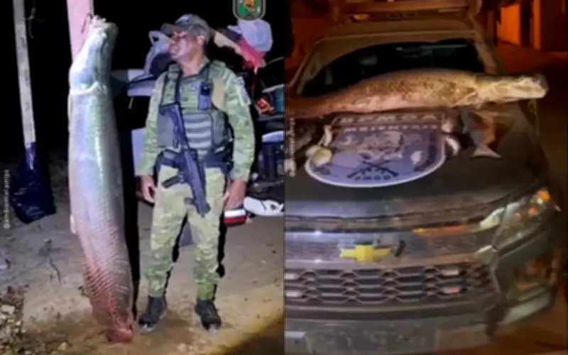 Pirarucu de 1,85 m e mais de 100 kg é apreendido em operação contra pesca predatória em Bonópolis