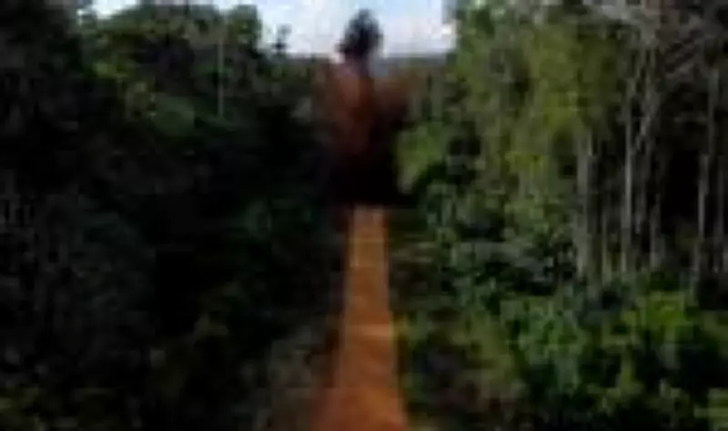 Pistas de pouso clandestinas do garimpo se multiplicam na Amazônia e MPF age
