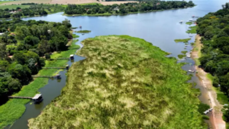 Plantas aquáticas bloqueiam navegação e destroem ancoradouros no Rio Dourados em Lins