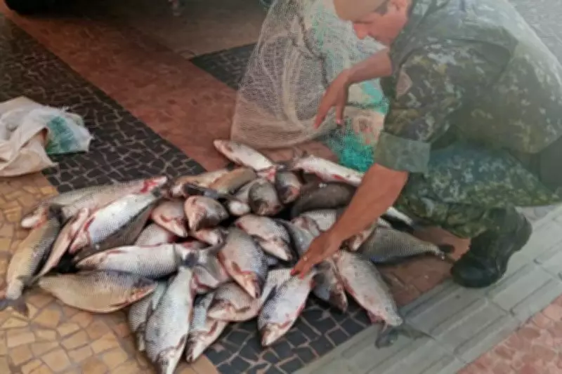PM Ambiental apreende 53 kg de peixes e materiais ilegais em Lucélia