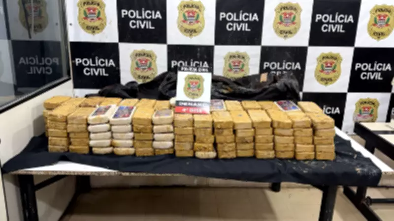 Polícia apreende 146 tijolos de cocaína em caminhão avaliado em R$ 3 milhões em São Roque