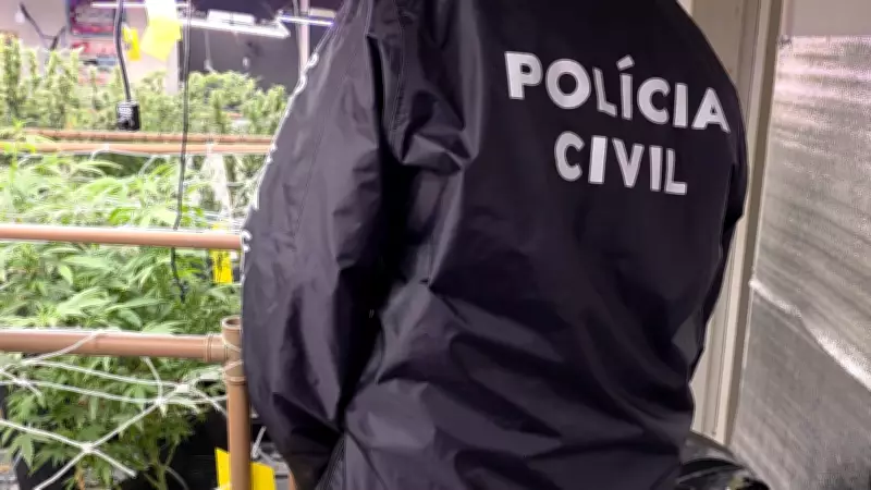 Polícia desmonta laboratório de maconha e prende quatro suspeitos em Fortaleza