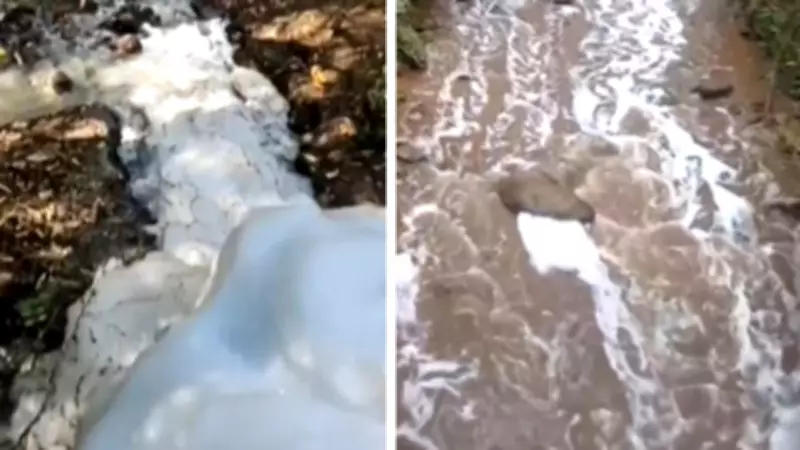 Poluição no Córrego Fechos: Prefeitura multa Copasa por espuma tóxica em Nova Lima