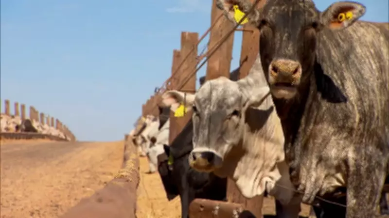 Preço da carne bovina no atacado atinge recorde com alta de 45% em dois anos