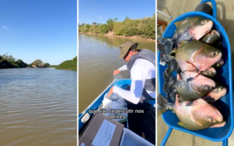 Presença de tambaqui no Rio Araguaia preocupa especialistas