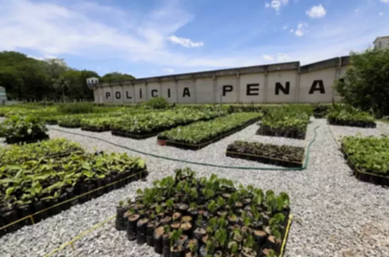 Presos da saída temporária do Dia das Mães devem retornar hoje ao RJ