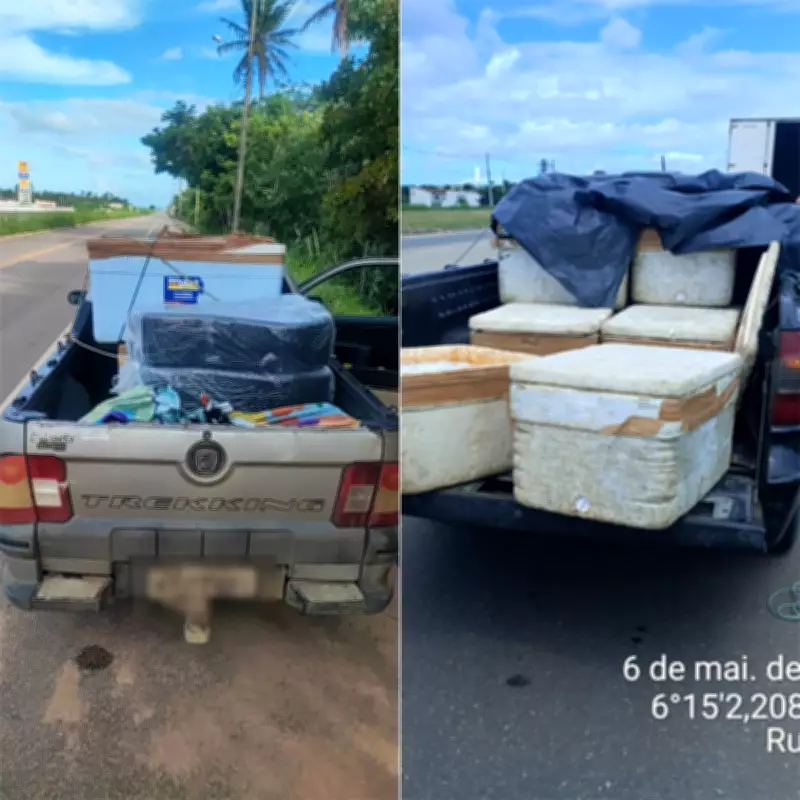 PRF apreende 250 kg de pescados irregulares em rodovias do RN
