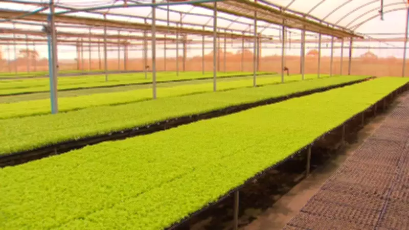 Produtores rurais de Jales e Jaci investem em tecnologia para expandir negócios