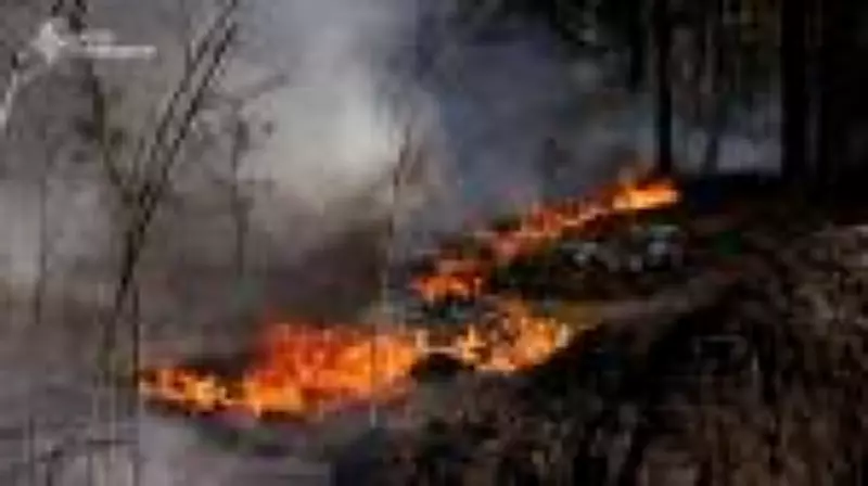 Queda de drone provoca incêndio florestal na zona de exclusão de Chernobyl