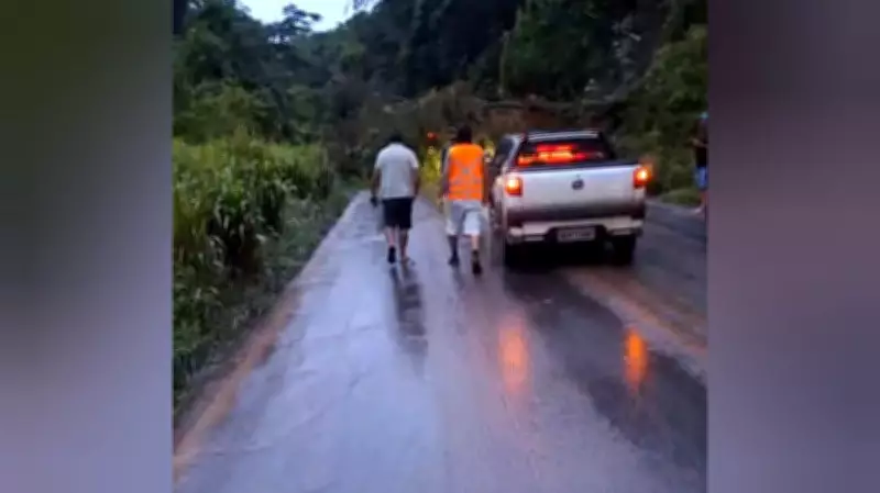 Queda de árvore interdita BR-163 por mais de 2 horas em Santarém