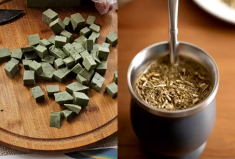 Queijo de tereré: tradição de MS vira ingrediente artesanal inusitado