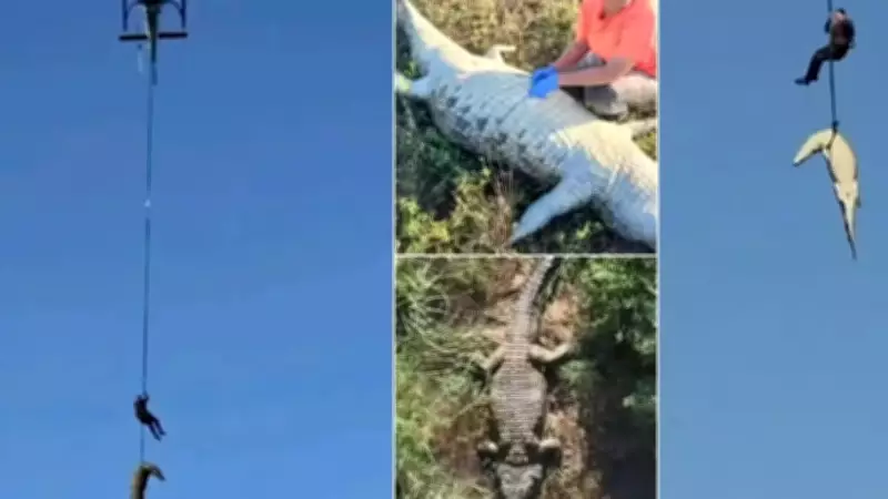 Restos mortais de empresário português são encontrados dentro de crocodilo na África do Sul