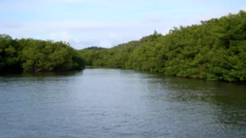 Rio Sirinhaém atinge cota máxima e cidades em alerta de inundação