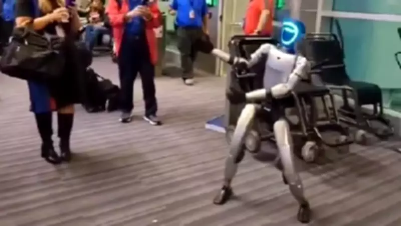 Robô Bebop atrasa voo nos EUA ao precisar de assento próprio