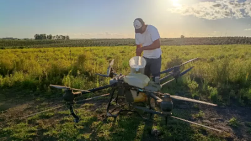 RS usa drones para combater carrapatos com solução biológica inovadora