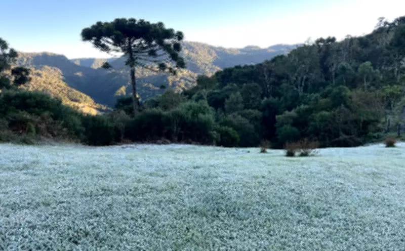 Santa Catarina pode ter dia mais frio de 2026 com -4°C na Serra