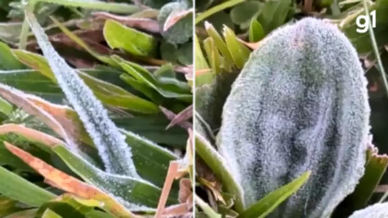Semana começa com temperaturas próximas de 0°C no Rio Grande do Sul