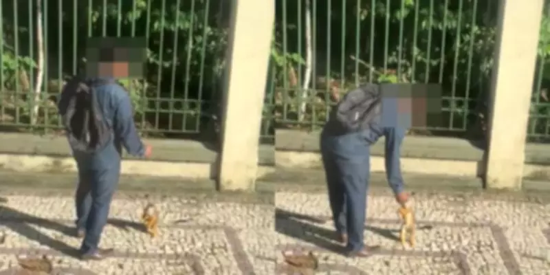 Semma alerta: alimentar animais silvestres pode causar doenças graves