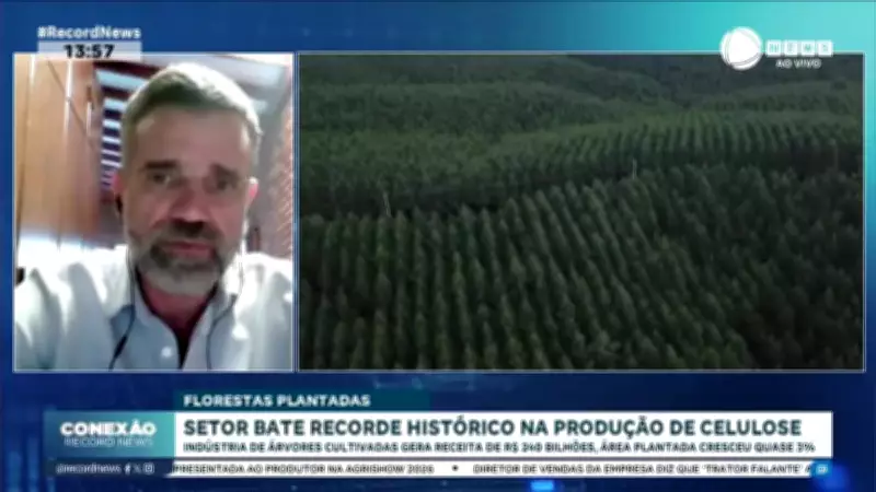 Setor de florestas plantadas bate recorde histórico na produção de celulose