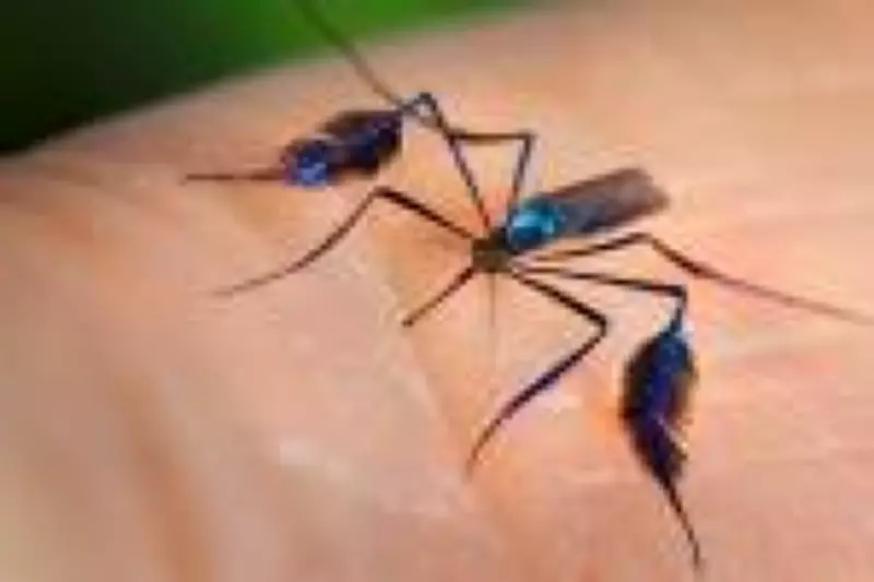 São Paulo confirma 9 casos de febre amarela em 2026; 5 mortes no Vale do Paraíba