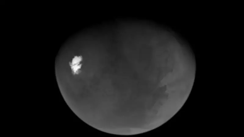 Sonda Psyche da NASA usa gravidade de Marte e registra polo sul do planeta