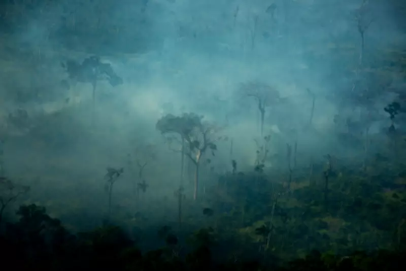 STF intima União e estados sobre risco de incêndios florestais em 2026