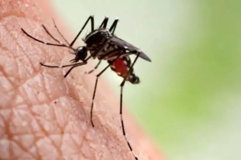 Suzano amplia vacinação contra dengue para pessoas com 59 anos