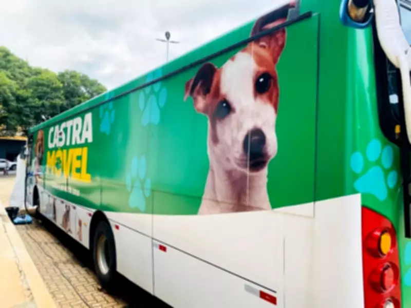 Tatuí abre 1,8 mil vagas para castração gratuita de cães e gatos