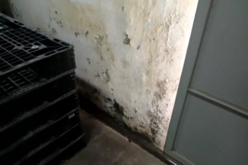 TCE flagra mofo, infiltração e forro caído em farmácias públicas
