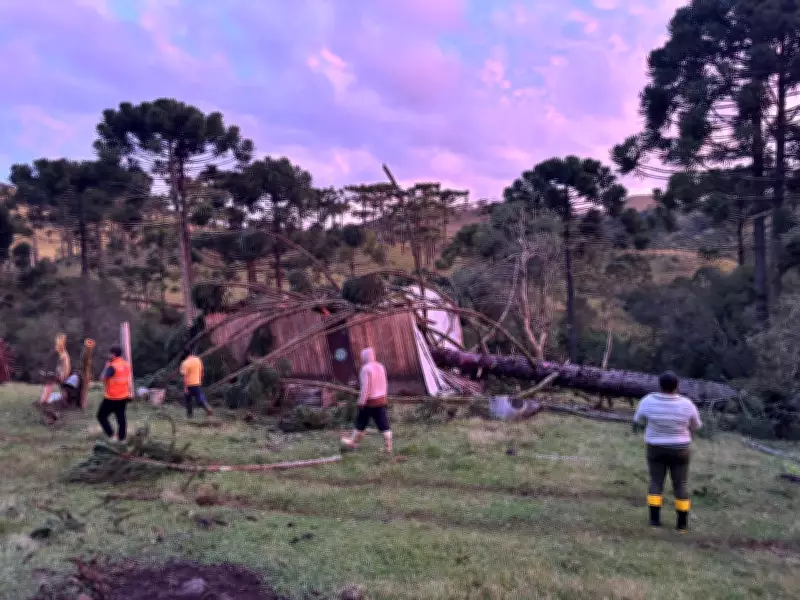 Temporal em São Joaquim: vento forte destelha casas e danifica pomares de maçã