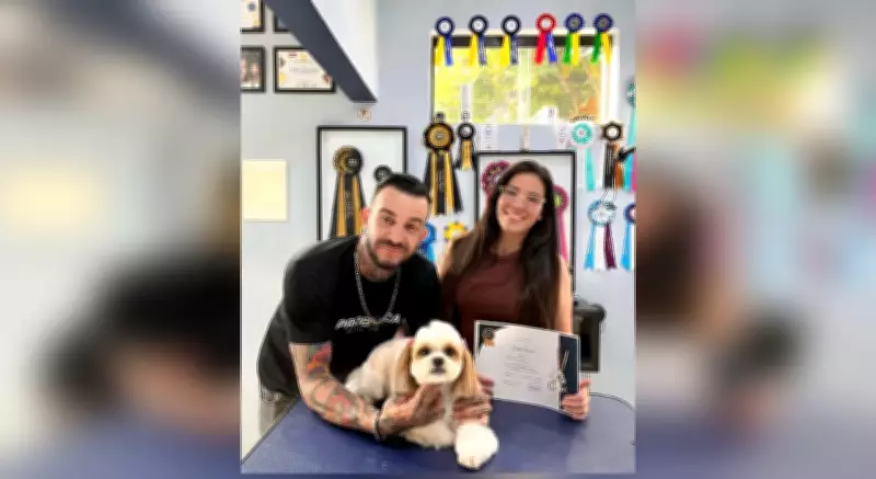 Tosador de Sorocaba viraliza com brincadeiras para acalmar cães em pet shop