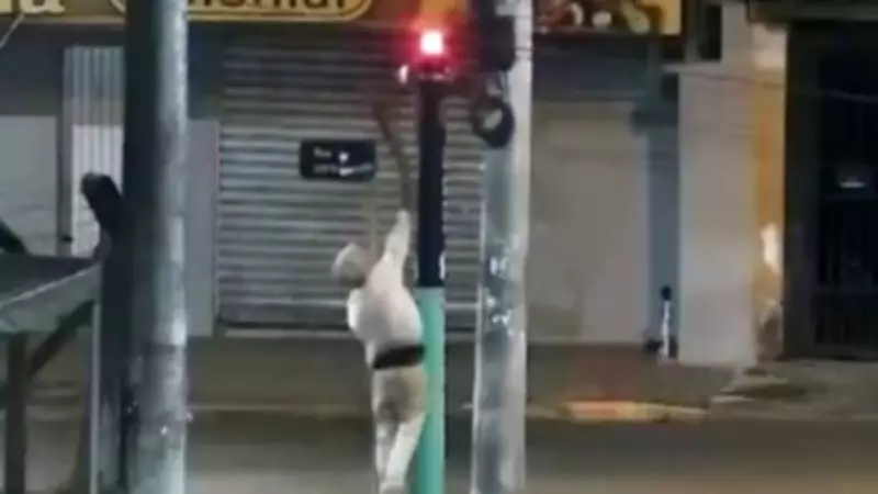 Totem de segurança vandalizado em menos de 12 horas em Novo Hamburgo