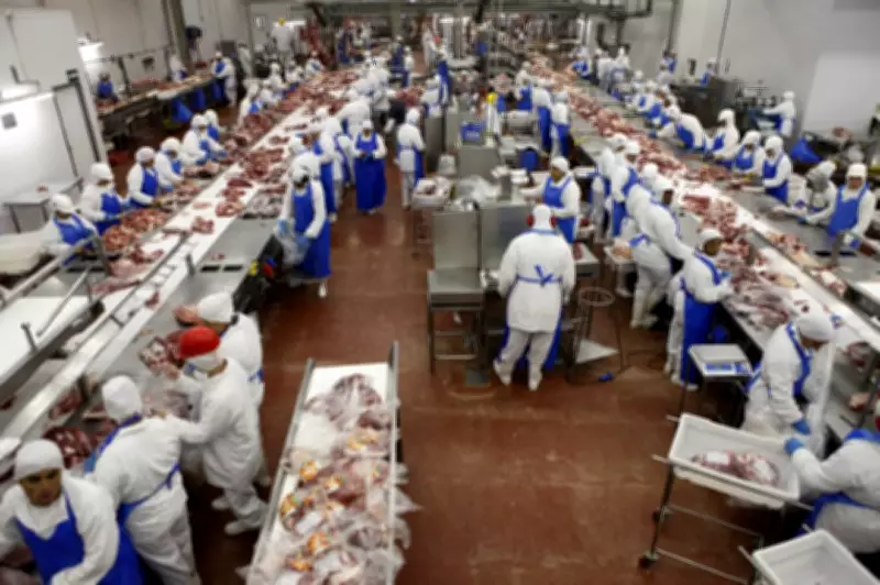 UE veta carne brasileira e produtos afins em contratos de US$ 2 bi