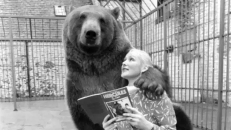 Urso de estimação que virou celebridade e estrela de filme de James Bond