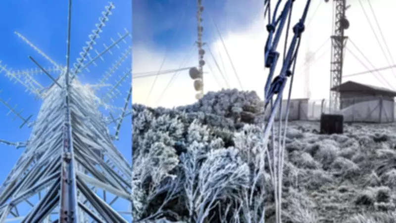 Urupema (SC): El Niño deve mudar inverno de 2026 na Capital Nacional do Frio