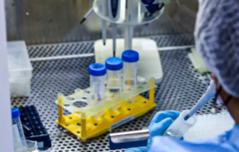 Variante da gripe H3N2, subclado k, é detectada em Sergipe