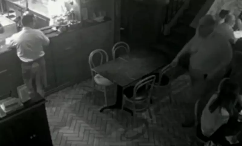Vídeo mostra Ed Motta jogando cadeira e confusão em restaurante no Rio