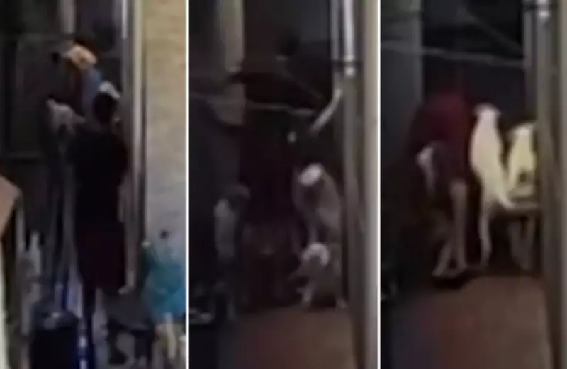 Vídeo: padrasto lutador espanca adolescente de 13 anos em BH