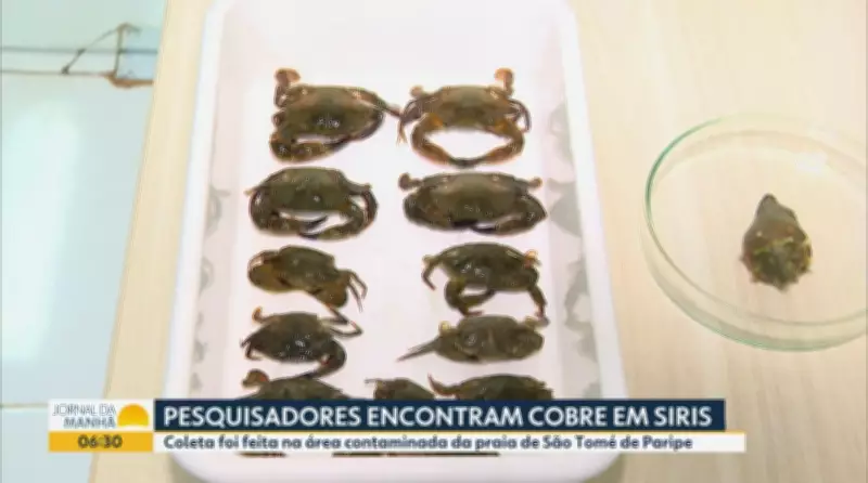 Vídeos do G1 e TV Bahia: terça-feira, 12 de maio de 2026