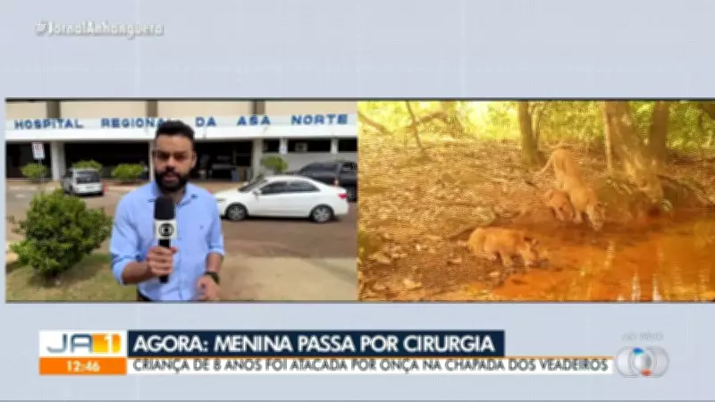 Vídeos do JA 1ª Edição de Goiás: 15 de maio de 2026