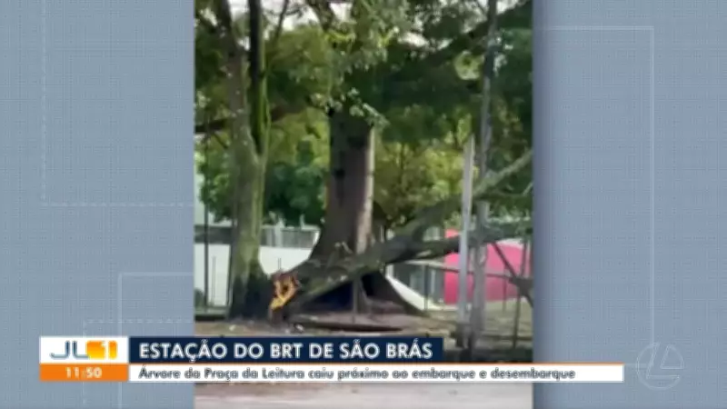 Vídeos do JL1: Destaques da Edição de 12 de Maio de 2026 no Pará